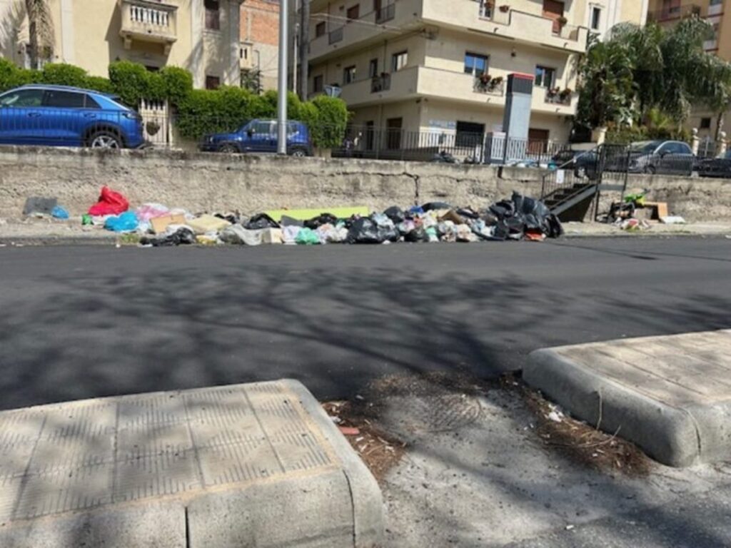 Spazzatura-viale-Europa