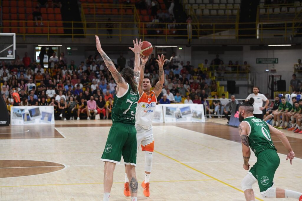 Viola-Avellino