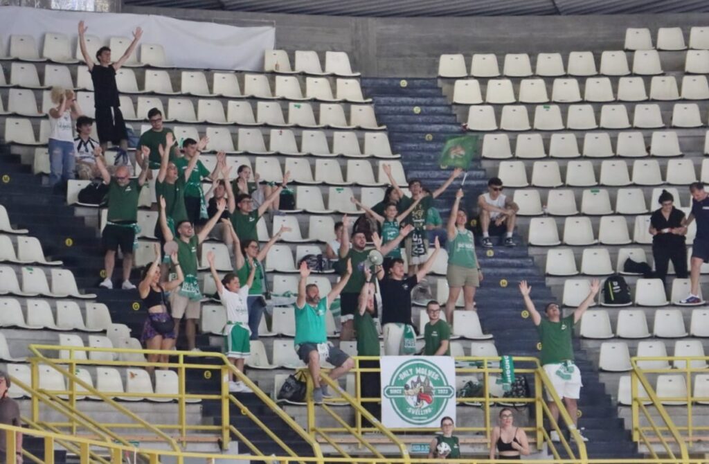 Viola-Avellino