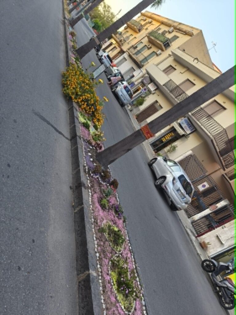 aiuola quartiere Stadio Sud - Gebbione