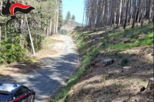carabinieri tutela forestale