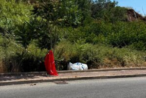 cinghiale morto arghillà