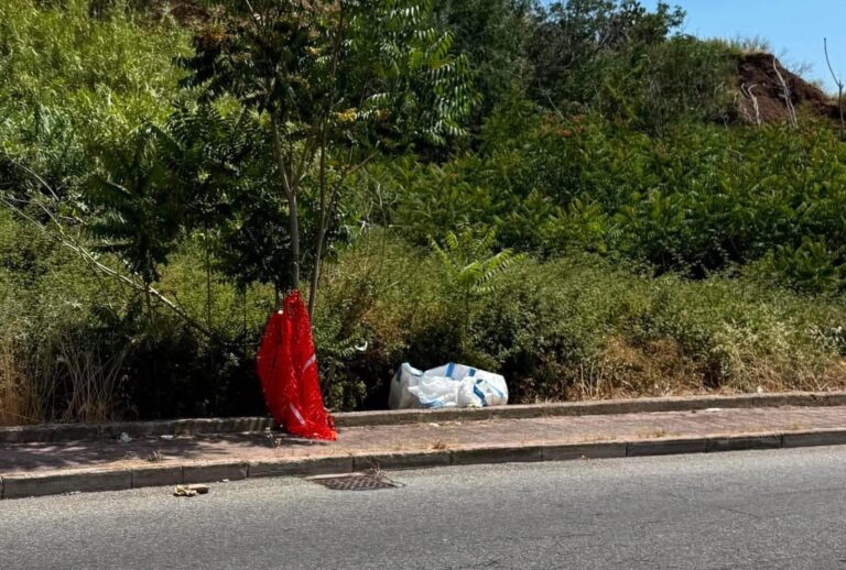 cinghiale morto arghillà