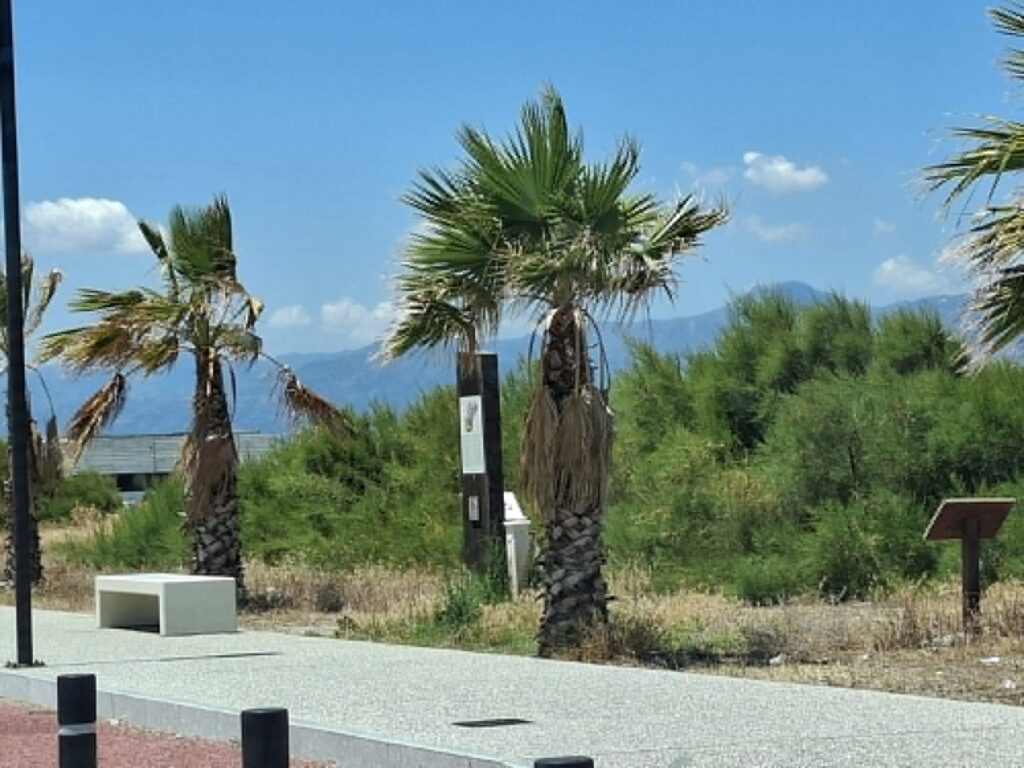 degrado punta pellaro