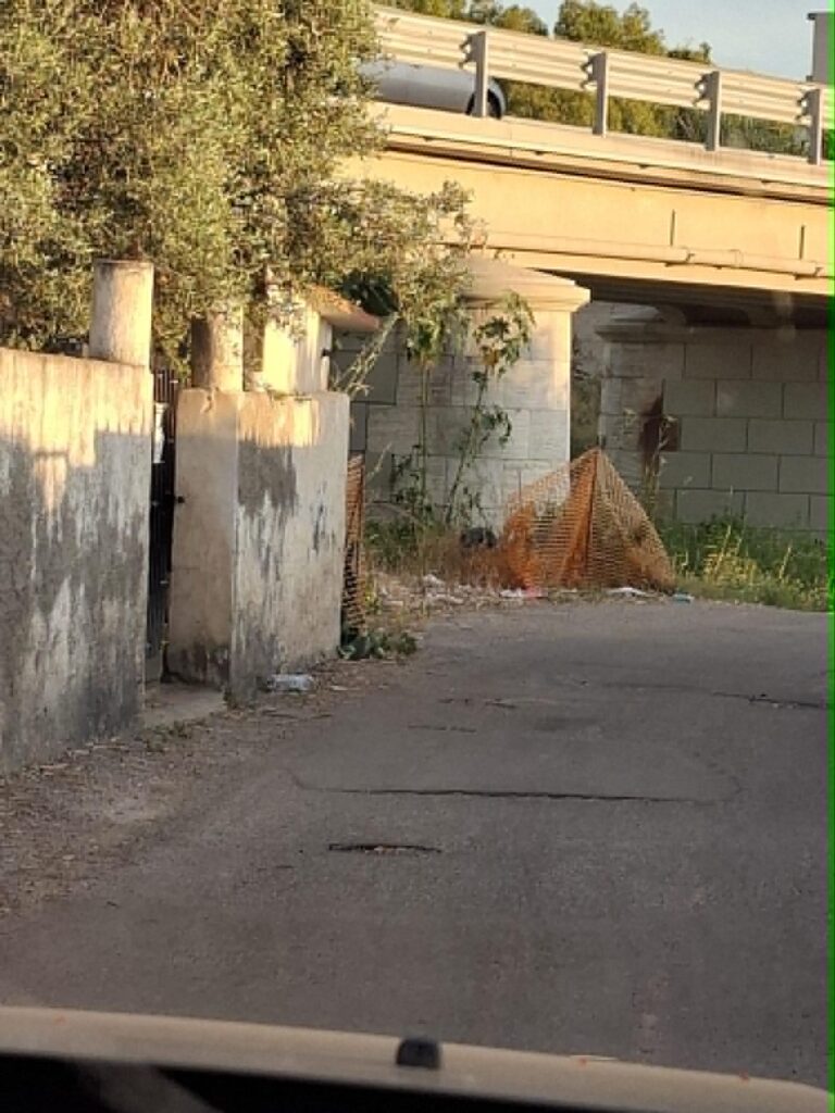 degrado punta pellaro