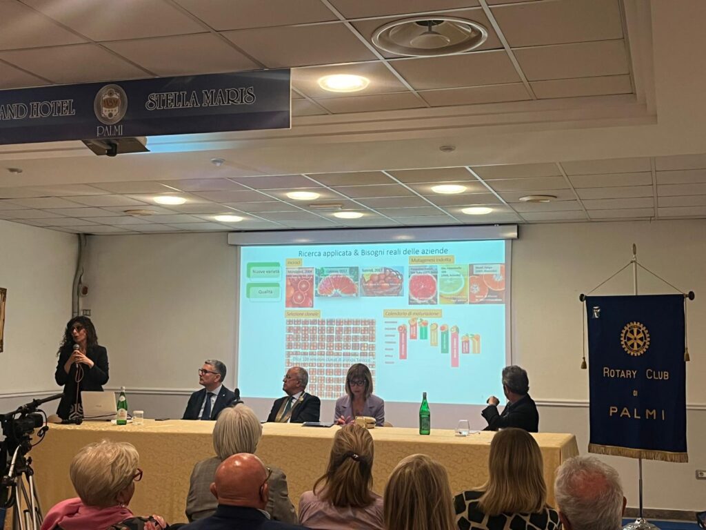evento rotary palmi su agricoltura e sviluppo del territorio