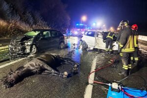 incidente