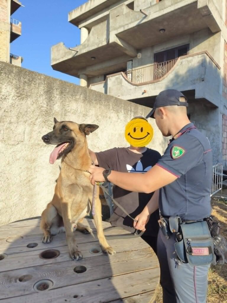 incontri polizia contro le truffe