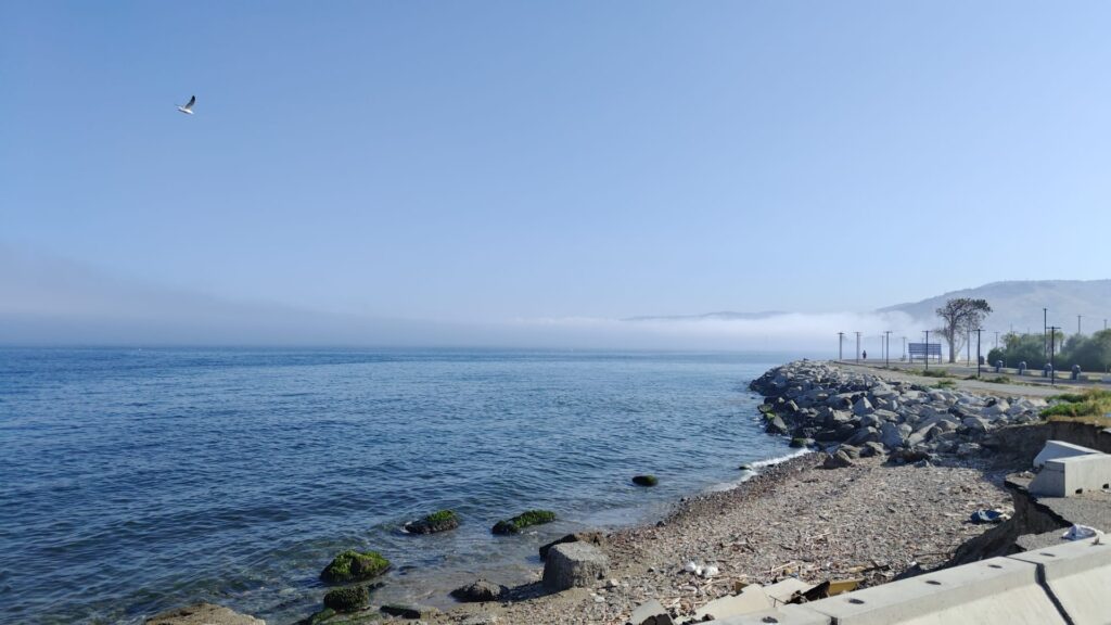 lupa di mare nebbia reggio calabria 5 giugno 2026