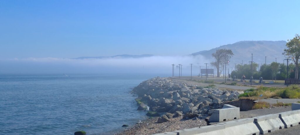 lupa di mare nebbia reggio calabria 5 giugno 2026