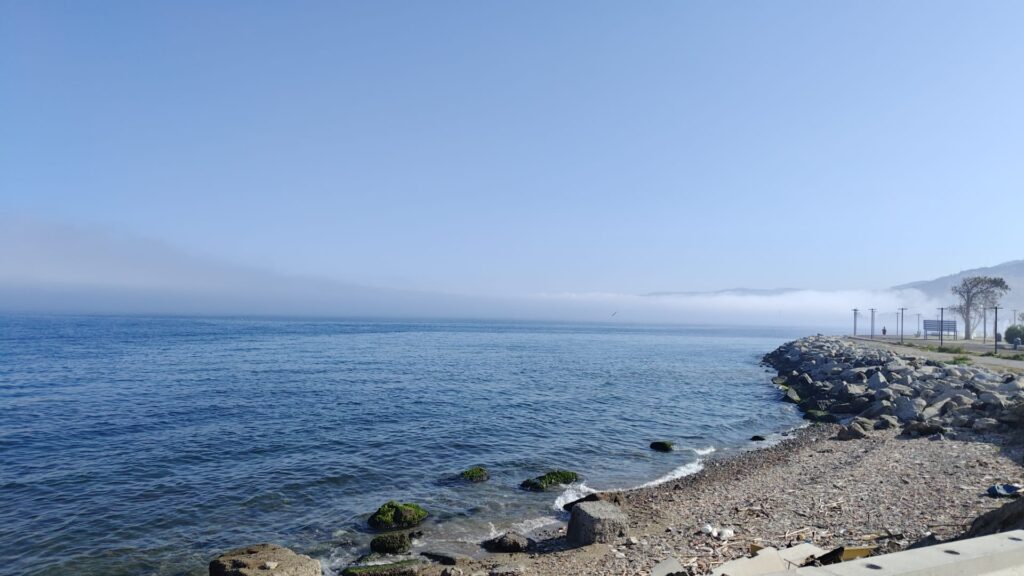 lupa di mare nebbia reggio calabria 5 giugno 2026
