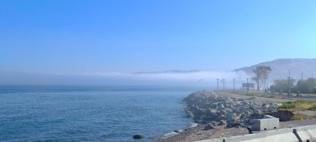 lupa di mare nebbia reggio calabria 5 giugno 2026