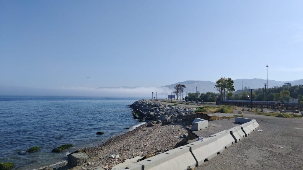 lupa di mare nebbia reggio calabria 5 giugno 2026