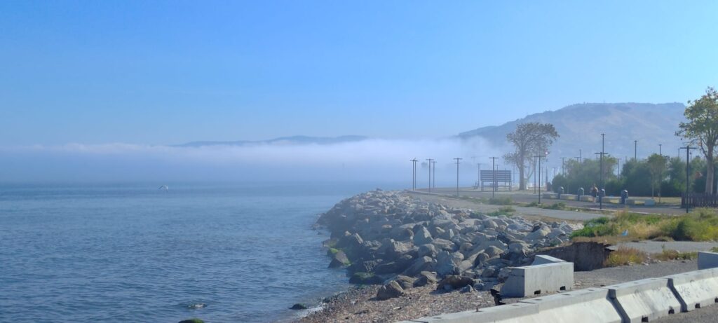 lupa di mare nebbia reggio calabria 5 giugno 2026