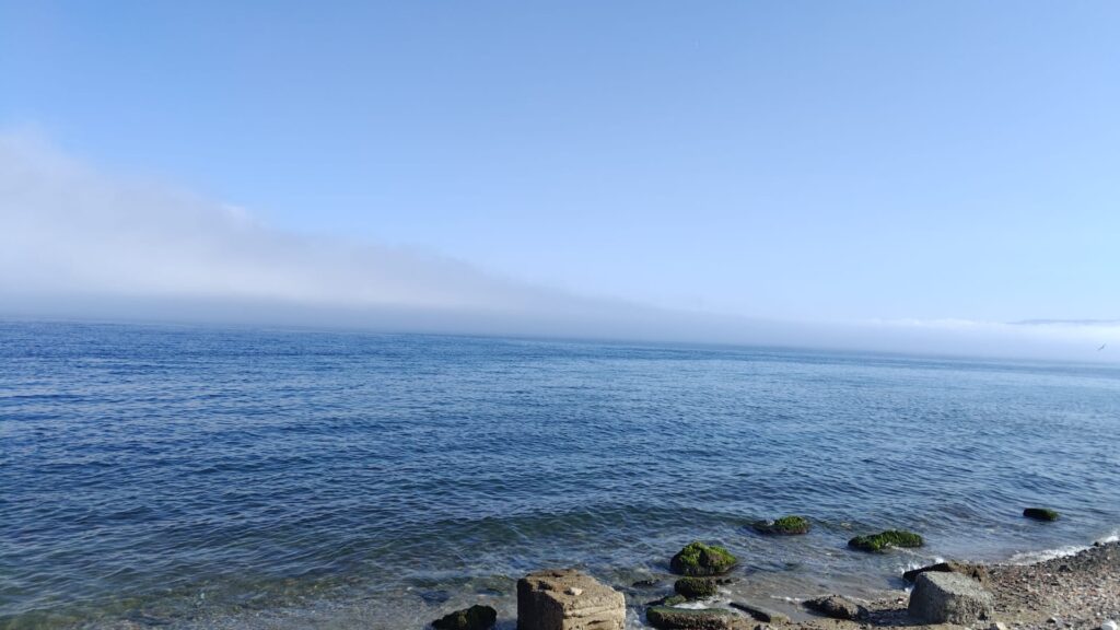lupa di mare nebbia reggio calabria 5 giugno 2026