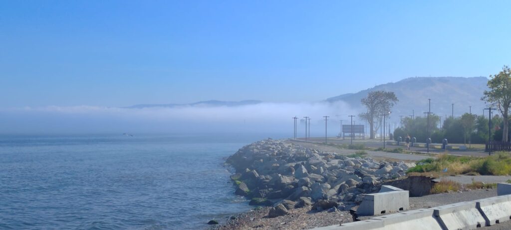 lupa di mare nebbia reggio calabria 5 giugno 2026