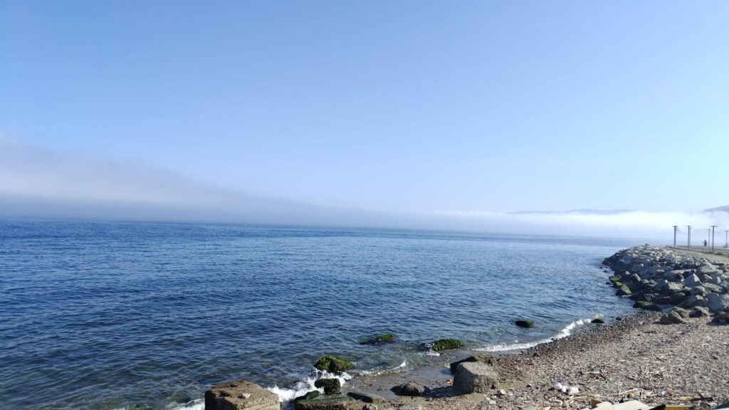 lupa di mare nebbia reggio calabria 5 giugno 2026