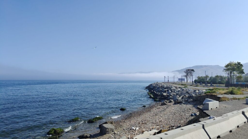 lupa di mare nebbia reggio calabria 5 giugno 2026