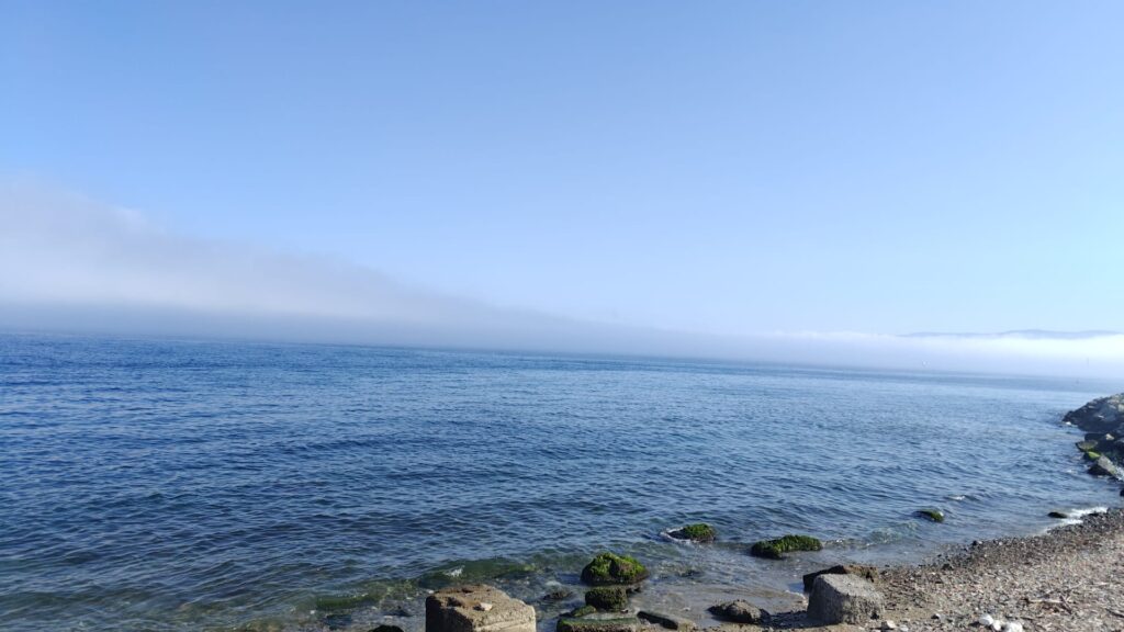 lupa di mare nebbia reggio calabria 5 giugno 2026