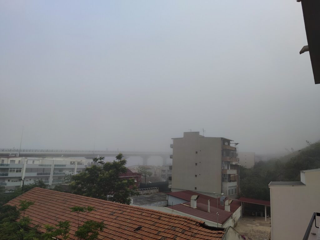 lupa-mare-5-giugno-stretto-messina