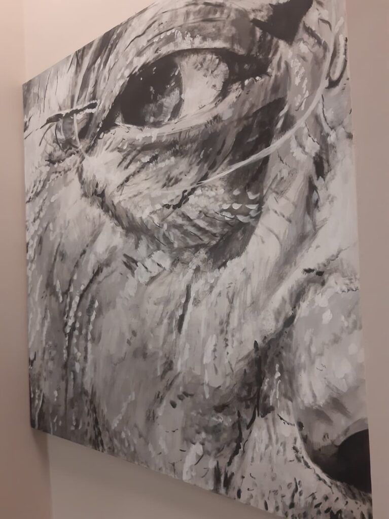 mostra alessandro allegra