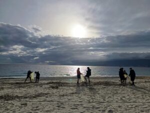 pulizia spiaggia fare verde calabria