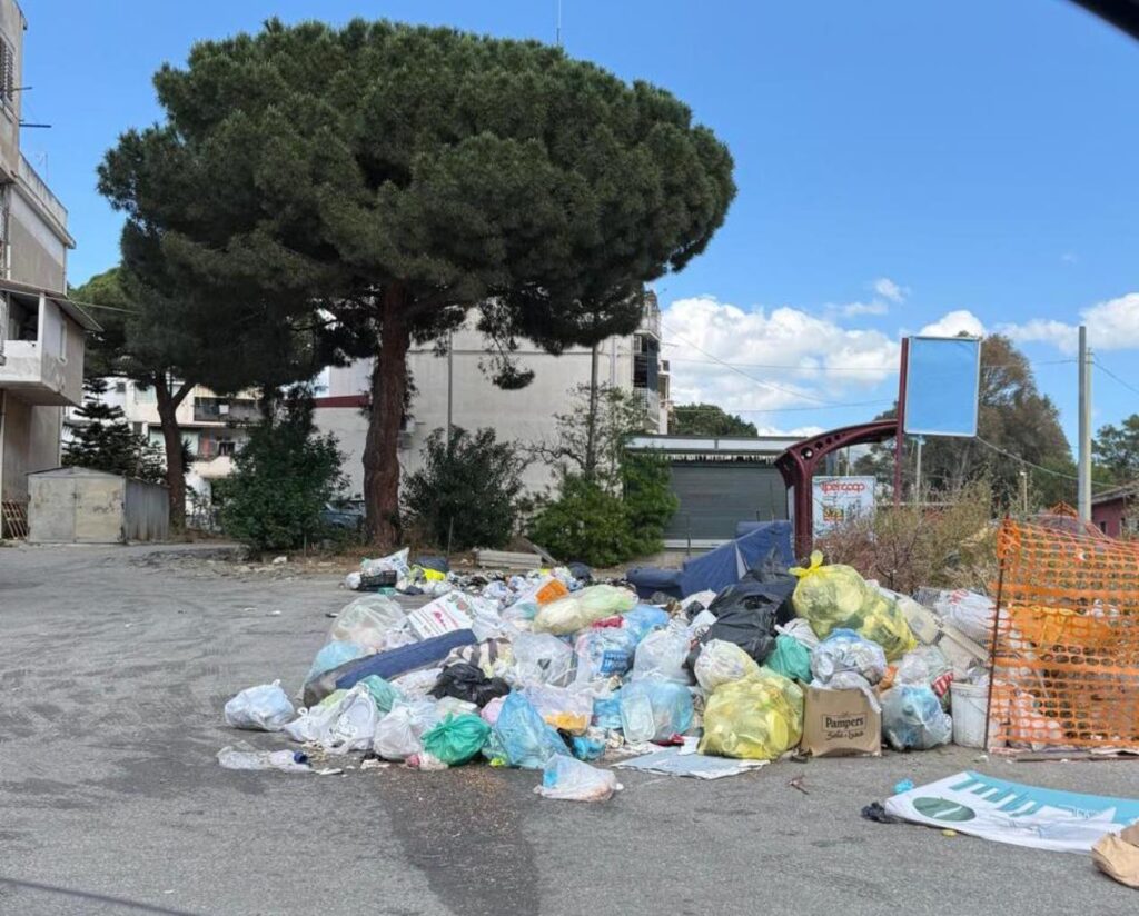 rifiuti e degrado
