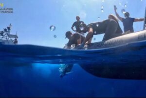 tartarughe tornano in mare