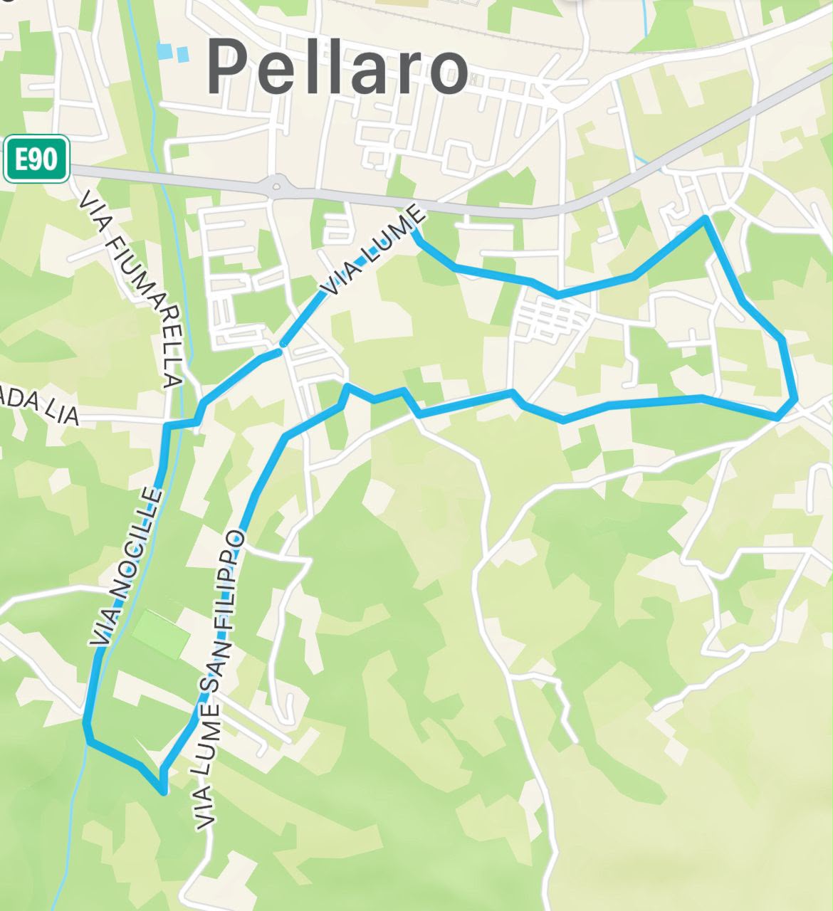 CORRINSIEME PELLARO