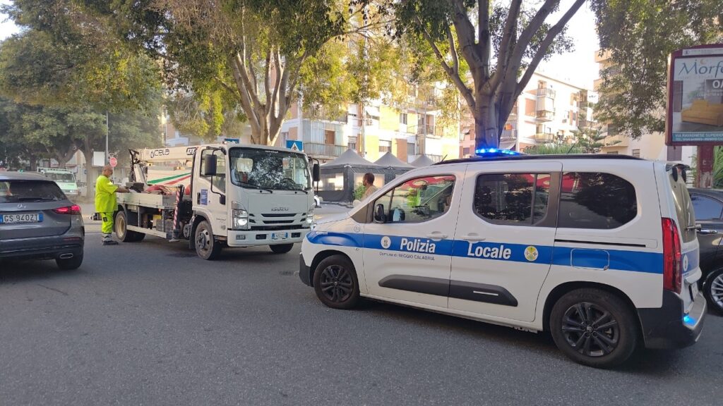 Caduta ramo albero viale Calabria