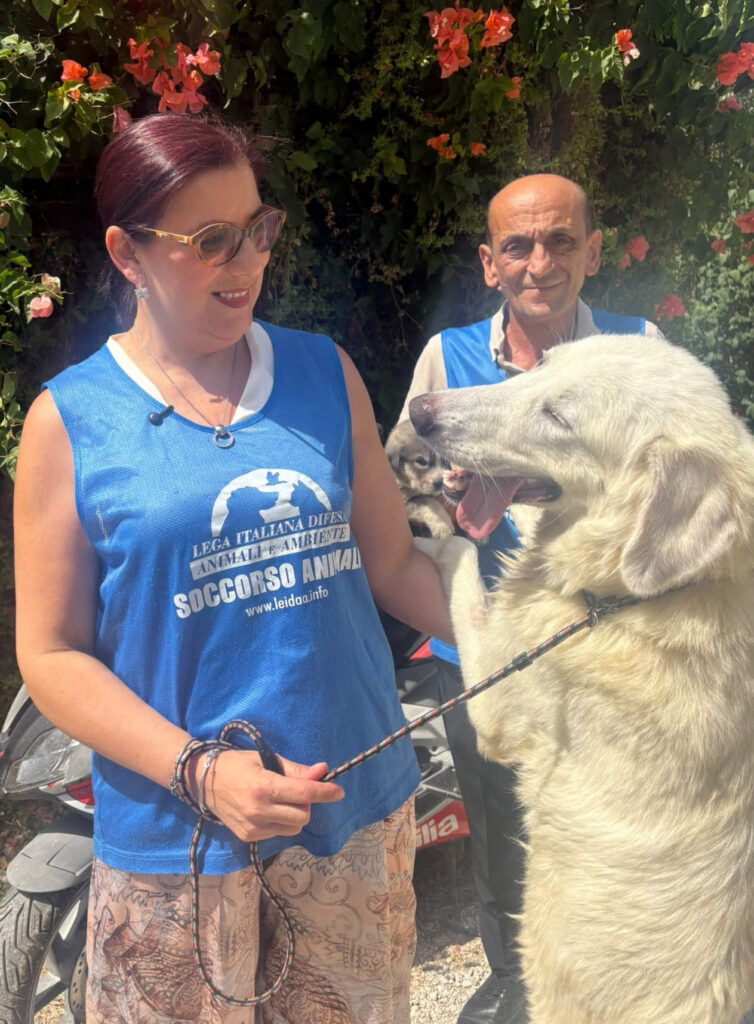 Cani Sciacca