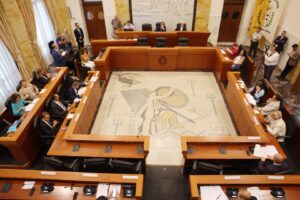 Consiglio Metropolitano Reggio Calabria 29 luglio 2026
