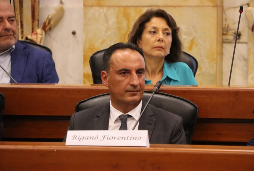 Consiglio Metropolitano Reggio Calabria 29 luglio 2026