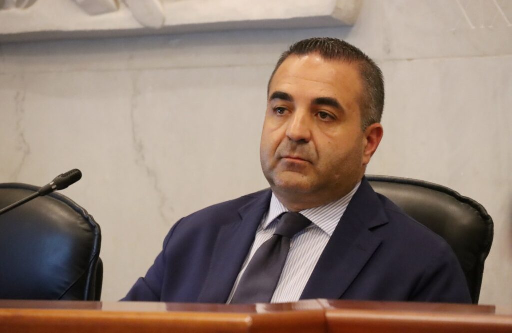 Consiglio Metropolitano Reggio Calabria 29 luglio 2026