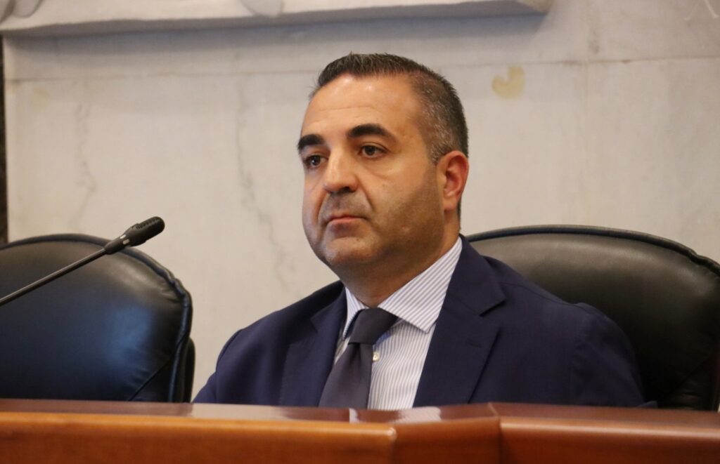 Consiglio Metropolitano Reggio Calabria 29 luglio 2026