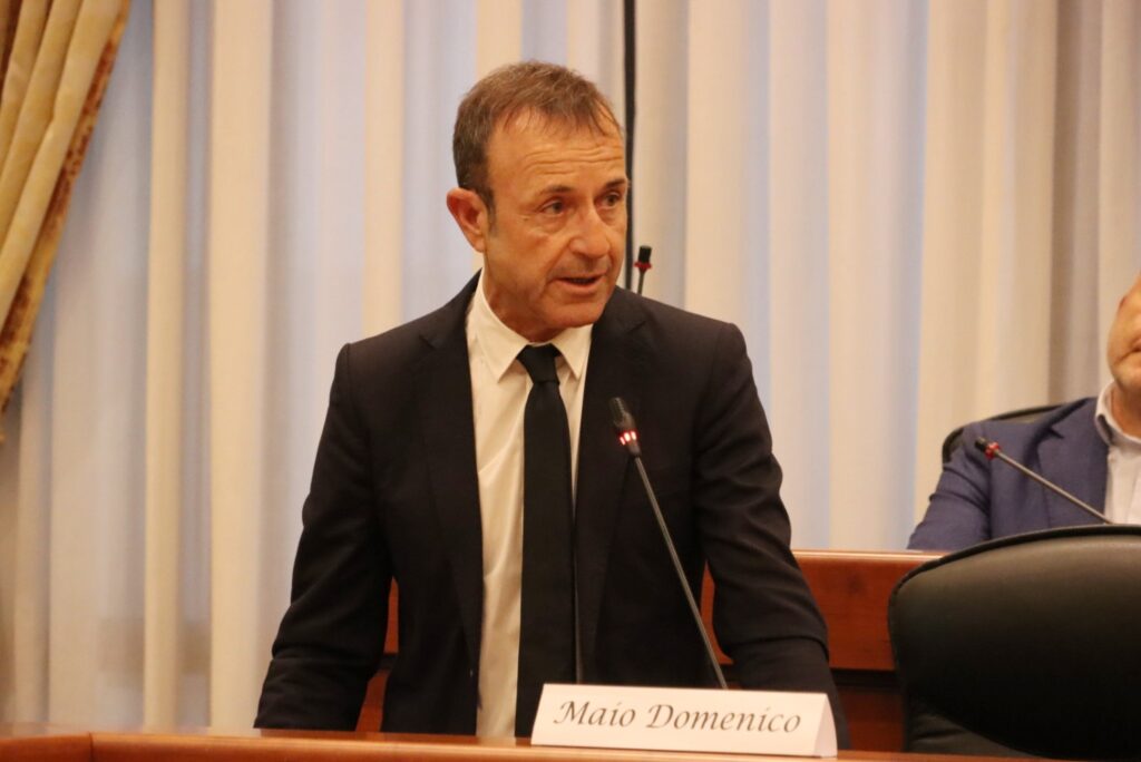 Consiglio Metropolitano Reggio Calabria 29 luglio 2026