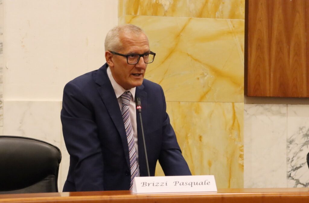 Consiglio Metropolitano Reggio Calabria 29 luglio 2026