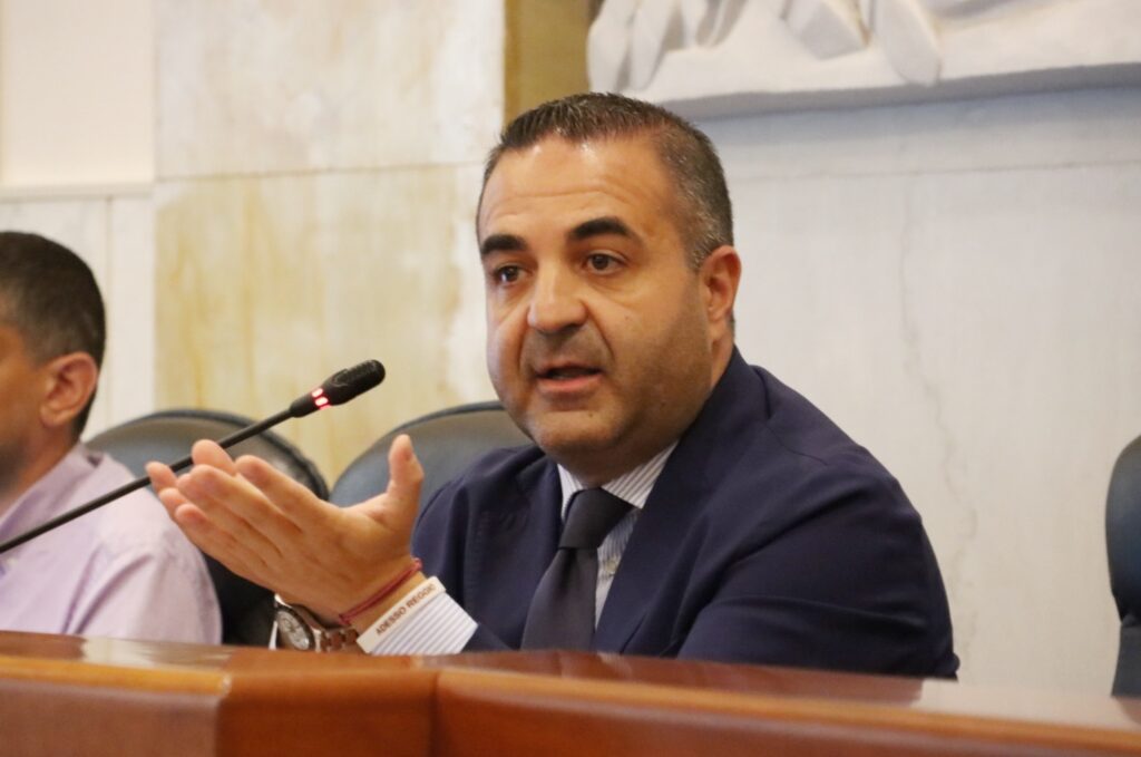 Consiglio Metropolitano Reggio Calabria 29 luglio 2026