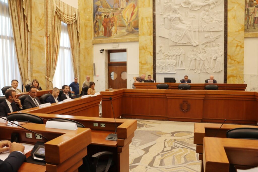 Consiglio Metropolitano Reggio Calabria 29 luglio 2026