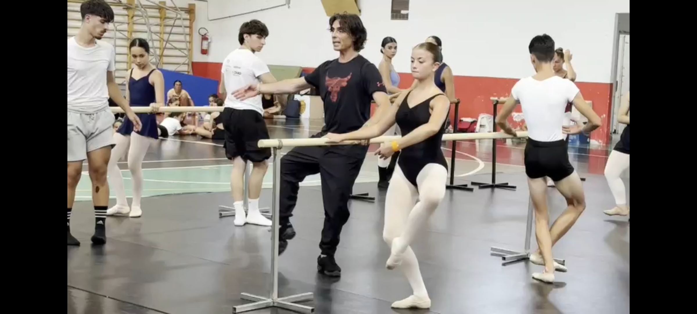 Contact Summer Intensive belvedere