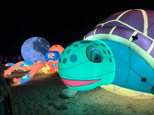 Festival degli aquiloni spiaggia di Giovino Catanzaro