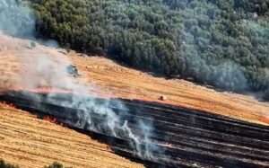 Incendi Calabria