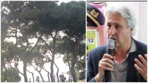 Pino Strati verde urbano