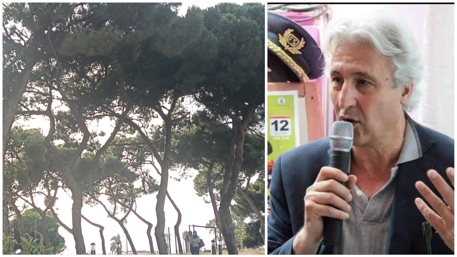 Pino Strati verde urbano