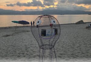 Polpetto Mangiaplastica Reggio Calabria
