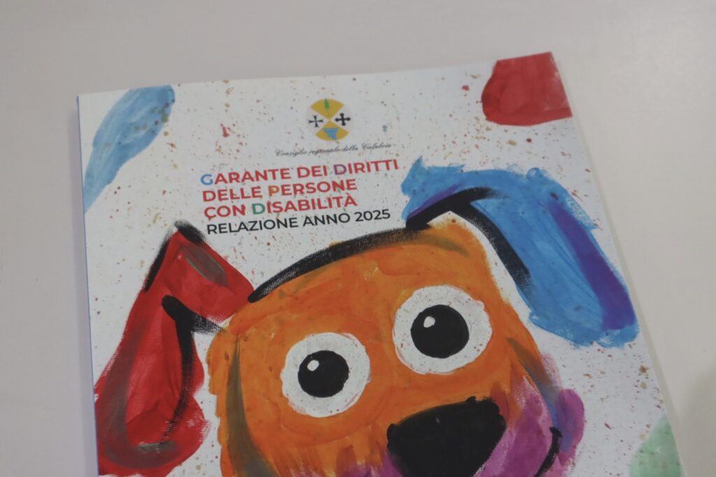 Relazione Garante dei disabili