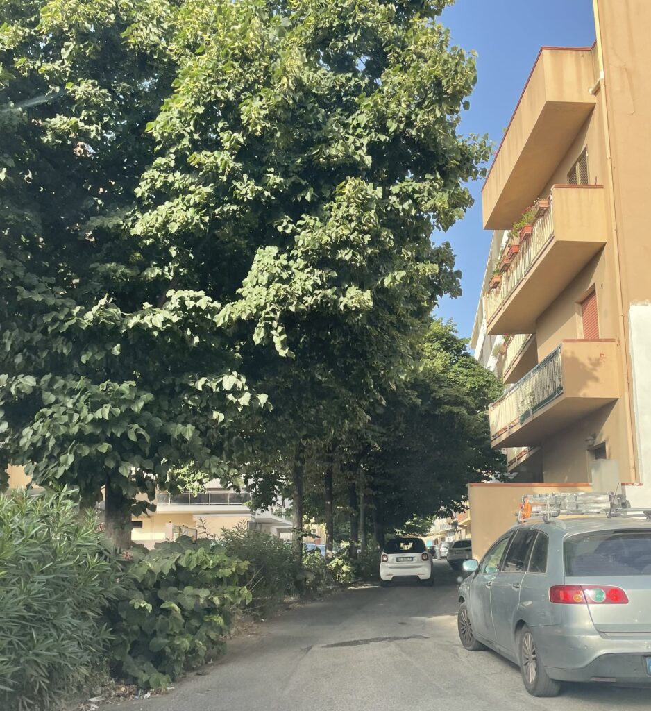 Via Monsignor Aurelio Sorrentino
