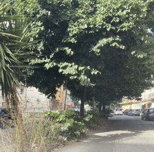 Via Monsignor Aurelio Sorrentino