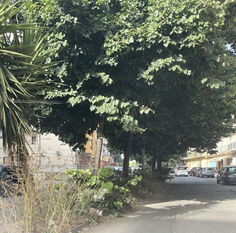 Via Monsignor Aurelio Sorrentino