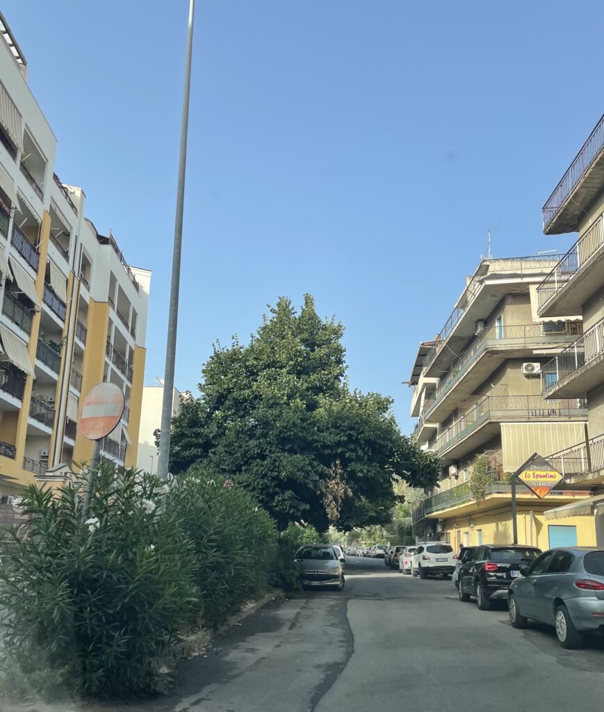 Via Monsignor Aurelio Sorrentino
